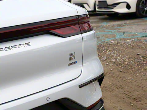 2025�� DM-i �Ǽݰ� 125KM������