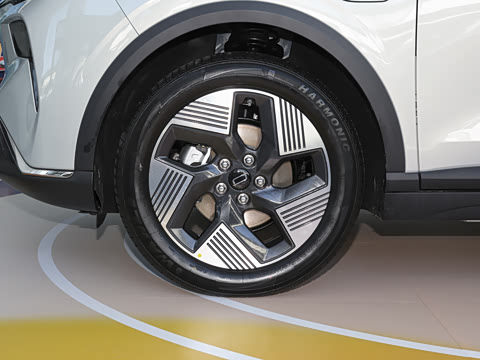 2025�� 565km ������