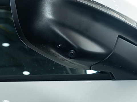 2025�� ������