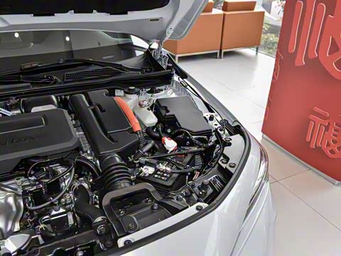 2025�� 2.0L e:HEV �춯Plus