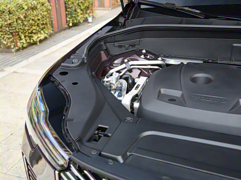 2025�� �Ŀ� T8 ��������� 7��