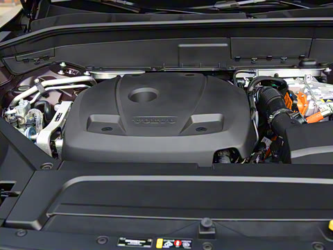 2025�� �Ŀ� T8 ��������� 7��