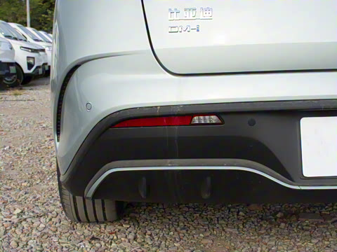 2025�� DM-i �Ǽݰ� 120KM������