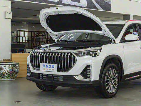 2025�� ��Խ�� 1.6TD DCT����PRO 5��