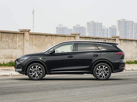 2025�� �Ǽݰ� DM-i 115KM ������