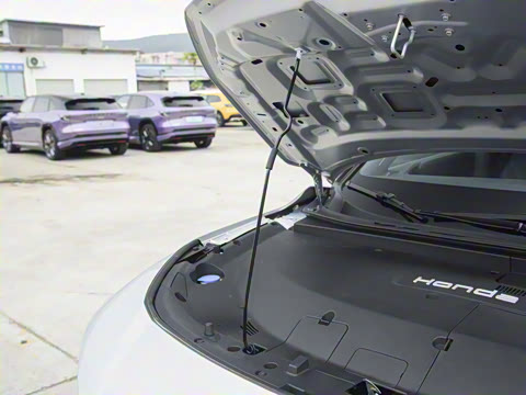 2025�� ����������Max