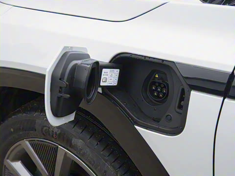 2025�� ����������Max