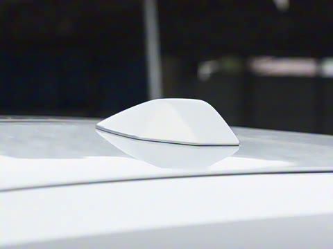 2025�� ����������Max