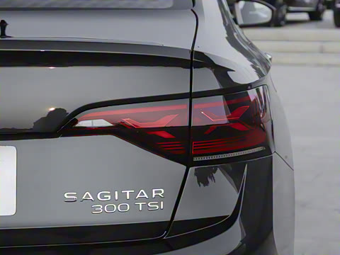 2025�� �Ŀ��� 300TSI DSG��Խ��