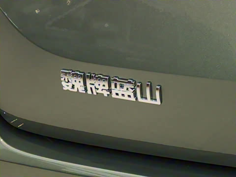 2025�� ���� Max