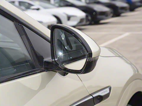 2025�� 625 ������ Max �Ƽ���