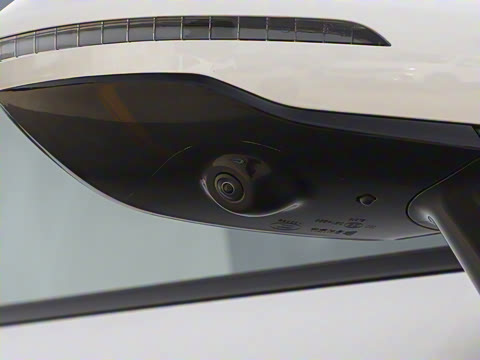 2025�� ���� 230Pro�캽��