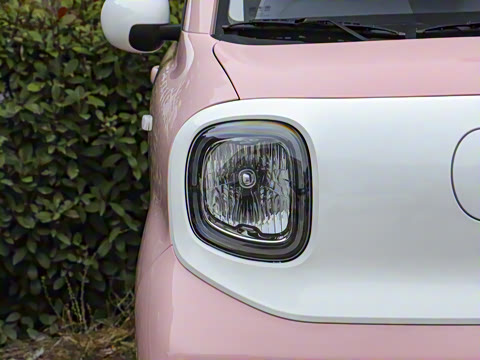 2025�� 222km ��Ϭ��