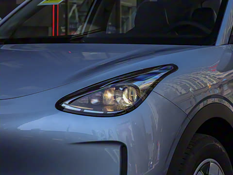 2025�� 310km �ഺ��