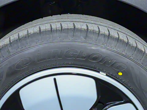 2025�� 310km �ഺ��