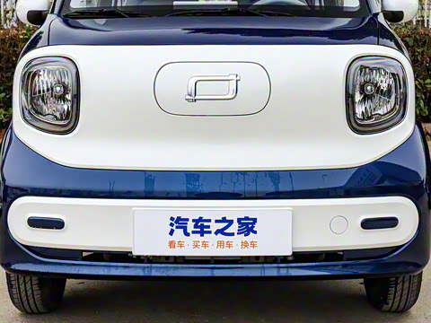 2025�� 222km ������