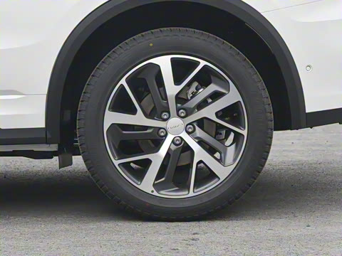 2024�� 2.0TD ������Halo