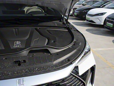 2025�� �Ǽݰ� DM-i 115KM �콢��