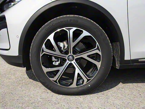 2025�� �Ǽݰ� DM-i 115KM �콢��