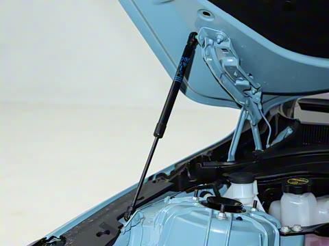 2025�� 28T �������ܰ�