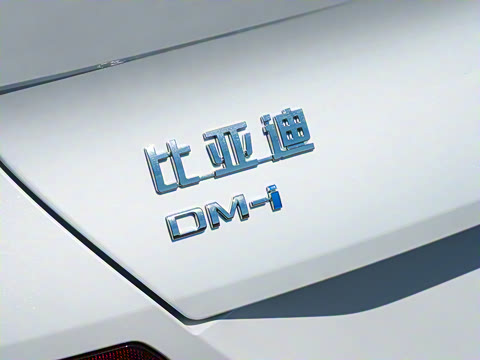 2025�� DM-i 170�캽Pro��