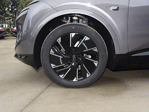 2024�� Pro+�����