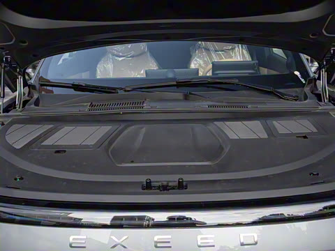 2025�� ���� 265 Max��������������ʻ