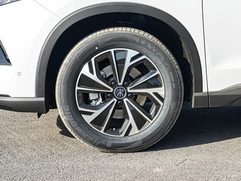 2025�� �ڶ��� �Ǽݰ� DM-i 115KM��Խ��