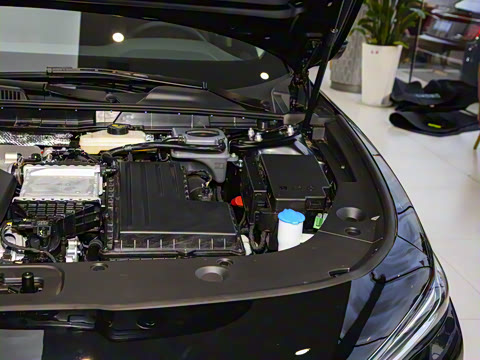 2025�� 170 �����