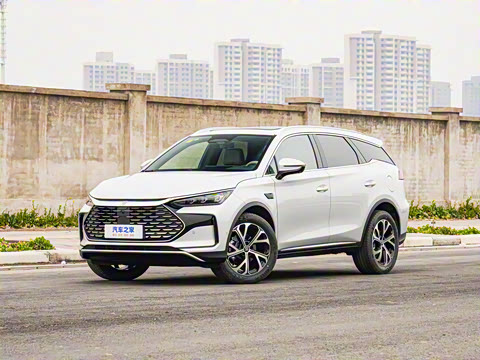 2025�� �Ǽݰ� DM-i 115KM ������