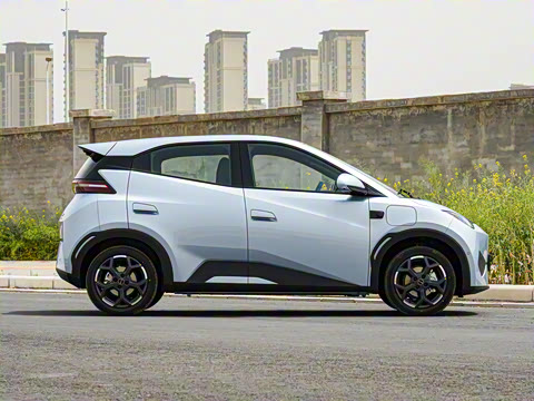 2025�� �Ǽݰ� 305km ���ɰ�