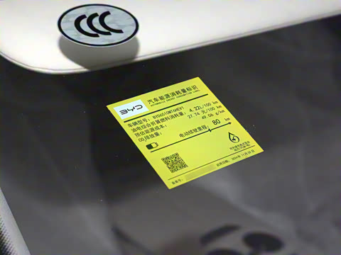 2025�� DM-i 1.5T 100km ������