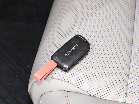 2024�� STARBUFF 95kWh 766km����