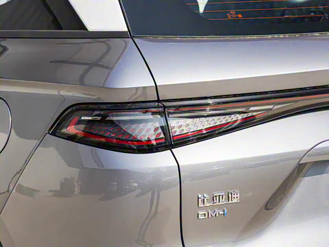 2025�� DM-i �Ǽݰ� 115KM�콢��