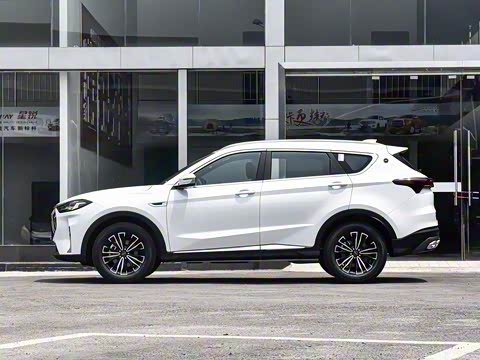 2024�� �ھ��� 1.5T �ֶ��ھ� 7��