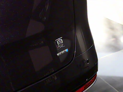 2025�� DM-i 1.5T 180km ��Խ��