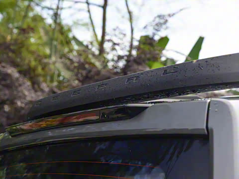 2024�� ����������