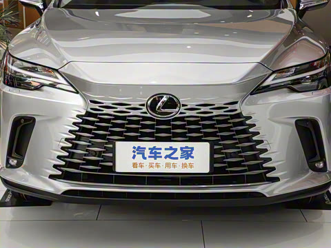 2025�� 300 ����������