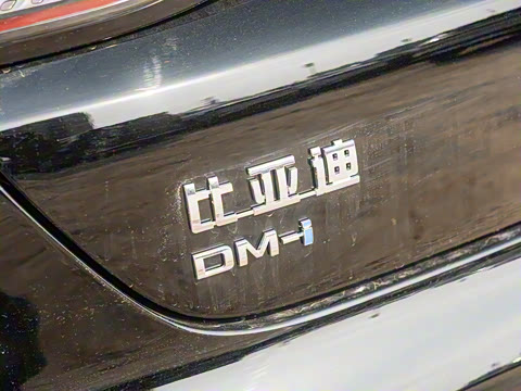 2025�� DM-i �Ǽݰ� 55KM�����