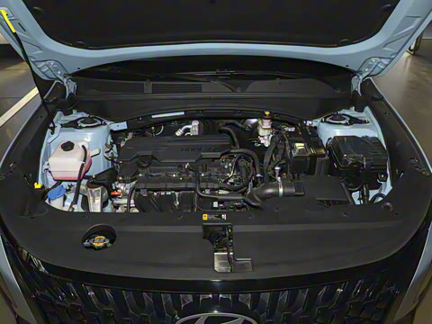 2023�� ��� 2.0L ����LUX