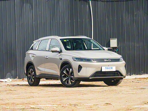 2025�� DM-i �Ǽݰ� 115KM������