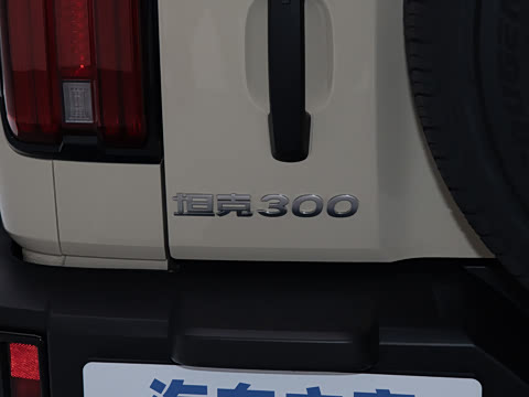 2025�� 2.0T ������