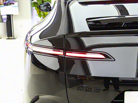 2025�� Max�����