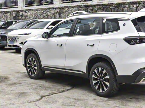 2025�� 290TGDI DCT�˷�� 7��