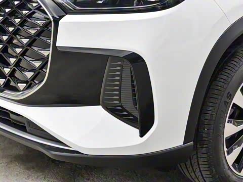 2025�� 290TGDI DCT�˷�� 7��