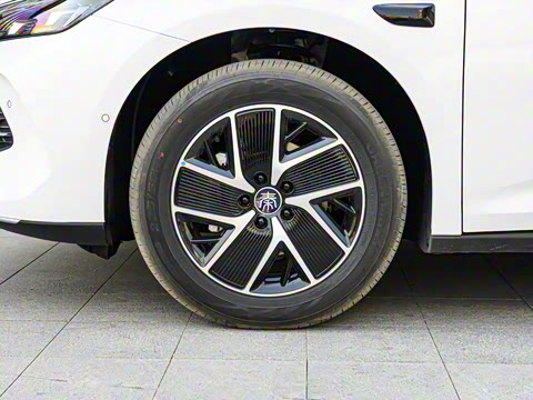 2025�� DM-i �Ǽݰ� 120KM������