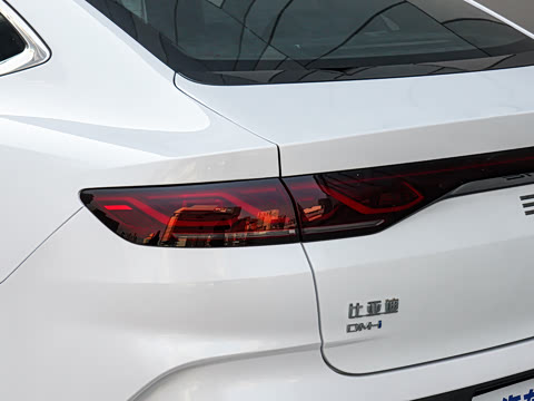 2025�� DM-i �Ǽݰ� 120KM������