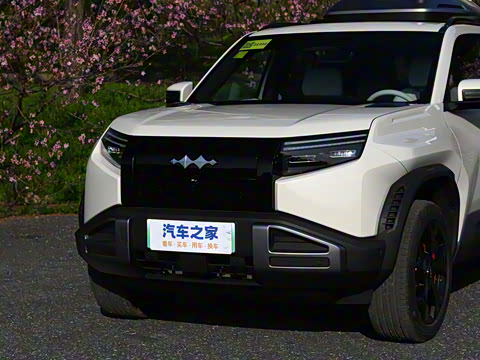 2025�� 501KM �������˻���