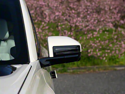 2025�� 501KM �������˻���