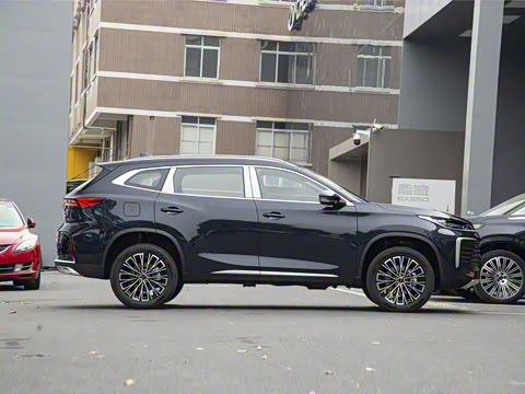 2025�� 300T ������Խ��